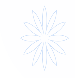 2026世界杯 - FIFA官方中文网站