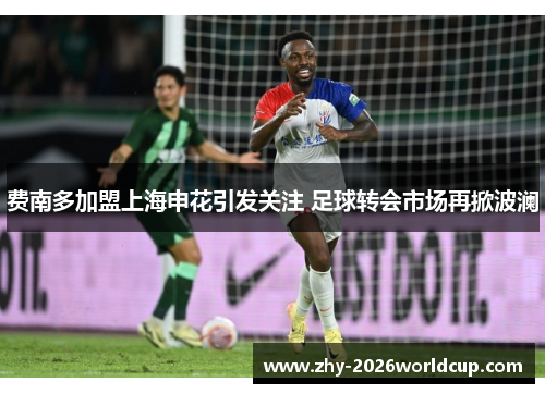 费南多加盟上海申花引发关注 足球转会市场再掀波澜 费南多加盟上海申花引发关注 足球转会市场再掀波澜